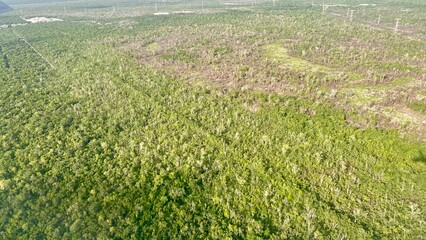 aerial view from the plane, Mexico