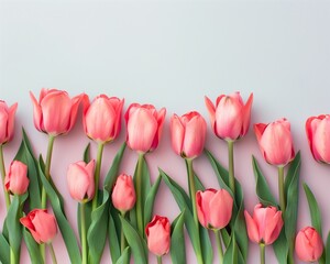 Fototapeta premium Vibrant Pink Tulips on Pastel Background, Perfect Floral Arrangement for Springtime Decor