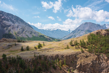 View above cliff to alpine green valley and large mountain range with snowy top far away. Sparse conifer trees on precipice edge in high mountains. Open coniferous forest on rocky wall above abyss.
