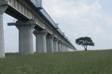 bridge over the grass lands