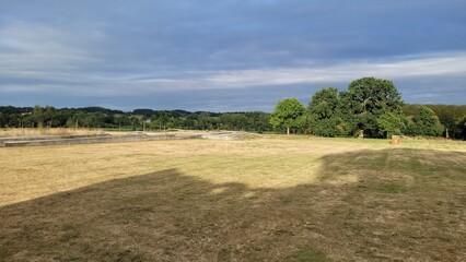 Vue sur champ de blé avec ensemble de bois