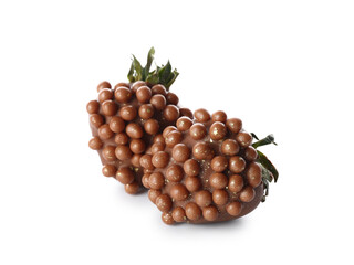 Chocolate covered strawberries on white background
