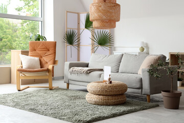 Cozy sofa, armchair and decorative olive tree in interior of living room