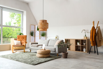 Cozy sofa, armchair and decorative olive tree in interior of living room