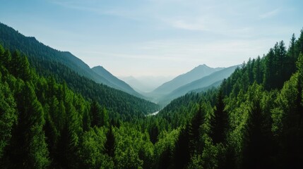 Obraz premium The sun rises over National Park, casting golden light on the mountains and lush forests while a river winds through the verdant landscape below