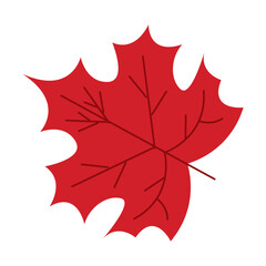 Colorful autumn leaves in orange and red, Vector