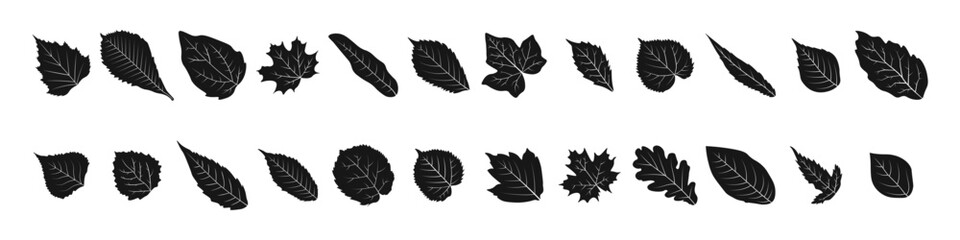 Leaf icon set. Leaves silhouette icon. Silhouette style.