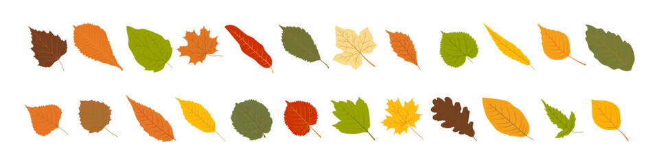 Autumn leaf set. Fall leaves icon. Flat style.