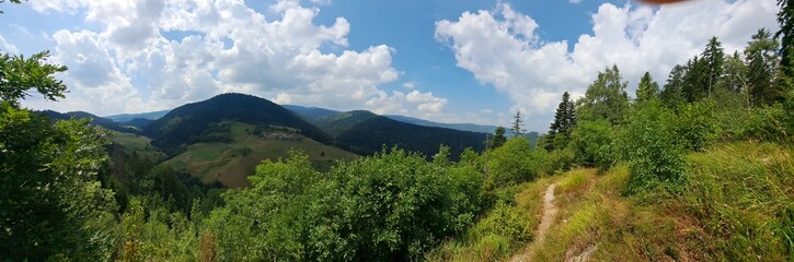 Panorama of the mountains in summer.