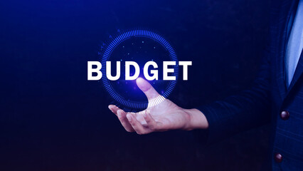 Budget Financial planning and management concept, Company budget allocation for business project management, Effective and smart budgeting, BUDGET concept.