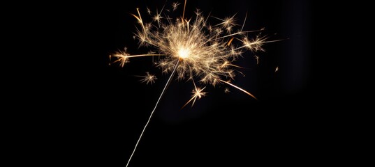 A Single Burning Sparkler Against a Black Background