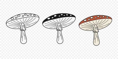 Flat Vector Hand Drawn Cartoon Fly Agaric Mushrooms Outline Illustration. Amanita Muscaria, Fly Agaric Illustration, Mushrooms. Magic Mushroom Icons, Design Template