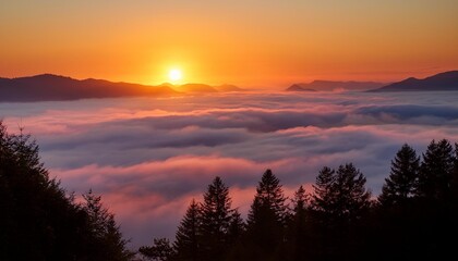 Naklejka premium Sunrise over the sea of ​​fog