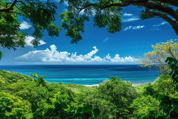 Views of the emerald blue Caribbean Sea through tropical vegetation, mangrove forests, wild beach, natural beauty, tourism.