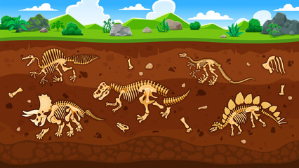 Dinosaur fossils in ground layers. Cartoon vector soil cross section view with ancient dino bones and skeletons. Archaeological and paleontological excavations. Studies of prehistoric animals relics © Vector Tradition