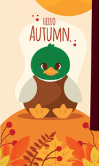 Cute duck with autumn leaves and text Hello Autumn, Vector