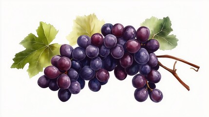 Fototapeta premium Vivid illustration of a bunch of dark purple grapes with green leaves, capturing the rich colors and textures, ideal for culinary and agricultural themes.