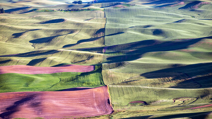 Palouse hills and farms at sunset from Steptoe Butte