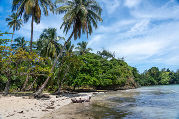 Stunning Tropical Island with Crystal Clear Water, Lush Vegetation, and Palm Trees - Serene Paradise Beach in the Caribbean, Perfect for Eco Tourism, Summer Vacations, and Exotic Travel Destinations