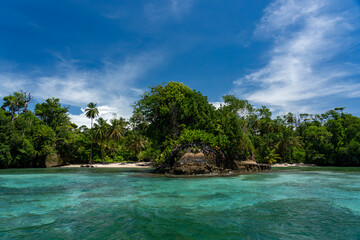 Stunning Tropical Island with Crystal Clear Water, Lush Vegetation, and Palm Trees - Serene Paradise Beach in the Caribbean, Perfect for Eco Tourism, Summer Vacations, and Exotic Travel Destinations