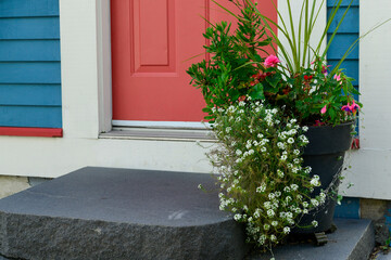 A colorful entrance to a vibrant blue wooden residence with an orange metal panel door and white trim. The black granite step has a flower pot with pink and white flowers and green plants.  