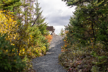 A short hill with a gravel hiking trail leading to a wooden bench. The path leads to an opening or clearing at the top of a mountain. The sides of the footpath have tall lush green trees with shrubs.