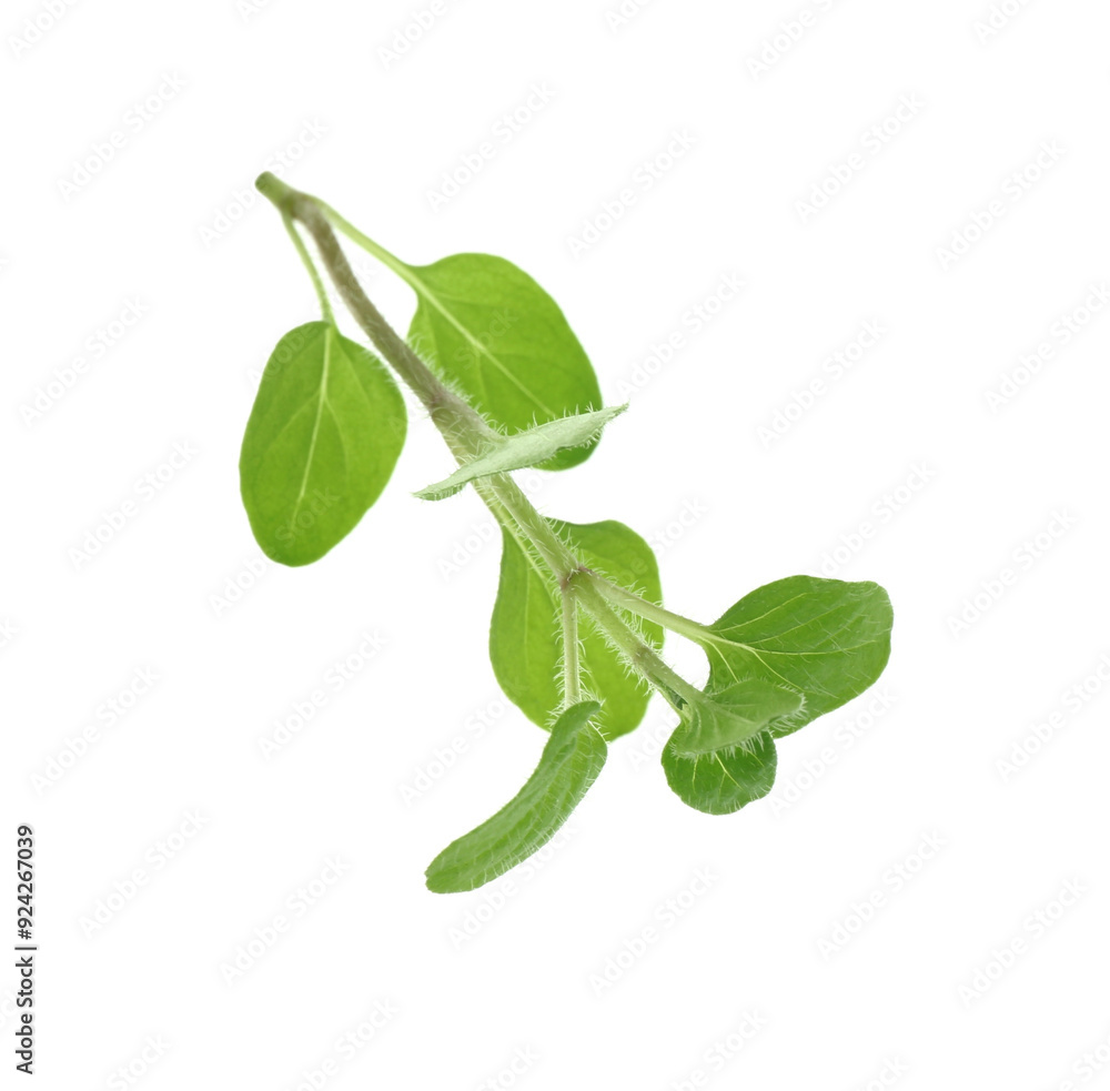 Sticker Sprig of fresh green oregano isolated on white