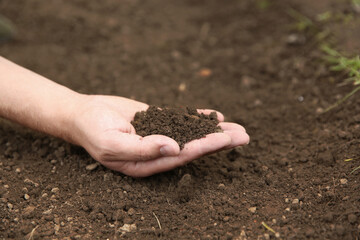 Woman holding pile of soil outdoors, closeup