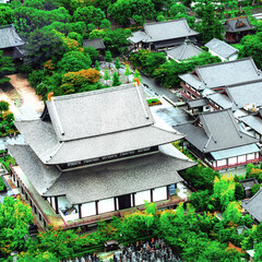 temple tokyo