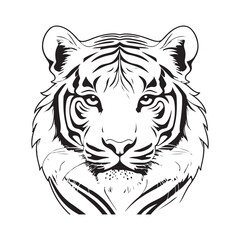 line art tiger on white background. sketch style. Vector graphic icon animal.