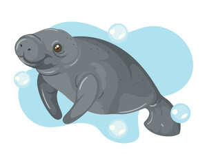 sea cow swimming under the water