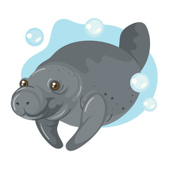 cute sea cow swimming alone