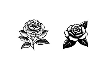 Set of Camellia flower silhouette vector style with white background.