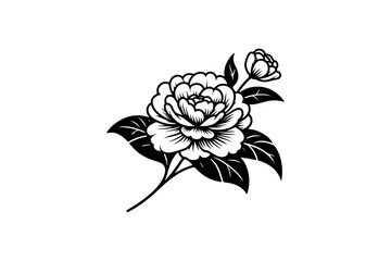 Camellia flower vector illustration.