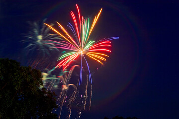 Fireworks exploding over the forest at night with a dark blue sky on the 4th of July