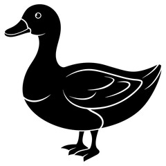 Duck isolated on white, duck vector illustration, animal vector art, duck silhouette, pet vector icon, duck cartoon line art, eps