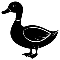 Duck isolated on white, duck vector illustration, animal vector art, duck silhouette, pet vector icon, duck cartoon line art, eps