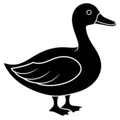 Duck isolated on white, duck vector illustration, animal vector art, duck silhouette, pet vector icon, duck cartoon line art, eps