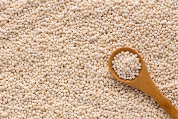 Tapioca pearls from cassava root - White sagu balls on the spoon. Manihot esculenta.