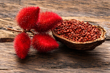 Organic annatto plant - Bixa Orellana red seeds