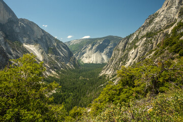 Obraz premium Trees Fill The Valley Below Snow Creek In Yosemite