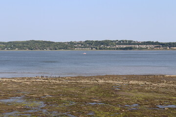 A beach and a riverside in summer in Quebec city with a view of the south coast. Coastline development and outdoor activities. Summer background and the St-Laurent river. 