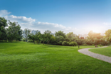 Tranquil Park Landscape with Pathway and Greenery Under Blue Sky