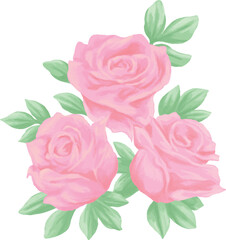 Pink roses flower painting illustration