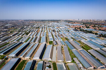 Expansive Aerial View of Greenhouses in a Modern Agricultural Landscape