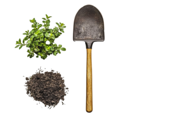 PNG Gardening tools and fresh herbs with soil on a white background