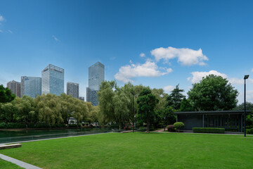 Serene Urban Park Amidst Modern Skyscrapers with Lush Greenery