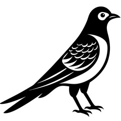  Vector art of cuckoo icon silhouette illustration