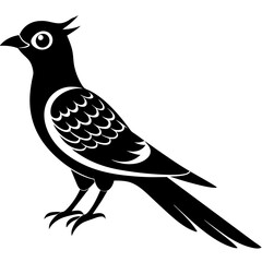  Vector art of cuckoo icon silhouette illustration