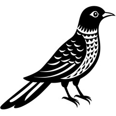  Vector art of cuckoo icon silhouette illustration
